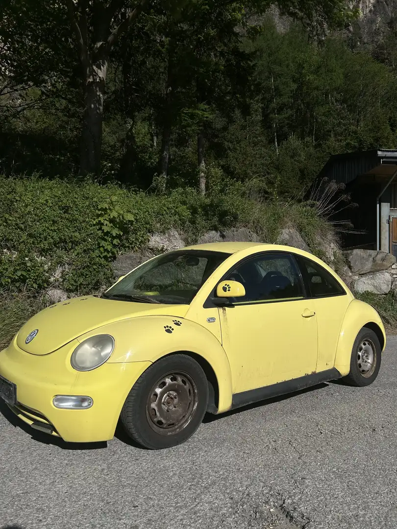 Volkswagen New Beetle 2.0 - 1