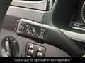 Volkswagen Caddy Trendline DSG+Bi-Xenon+KLIMA+SITZH. Noir - thumbnail 13
