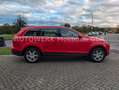 Audi Q7 3.0 TDI Quattro/1. Hand/Ahk/Pano/Navi/Kamera Rot - thumbnail 8