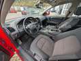 Audi Q7 3.0 TDI Quattro/1. Hand/Ahk/Pano/Navi/Kamera Rot - thumbnail 12