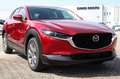 Mazda CX-30 e-Skyactive G140 Exclusive-Line Rot - thumbnail 1