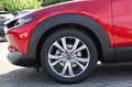 Mazda CX-30 e-Skyactive G140 Exclusive-Line Rot - thumbnail 12