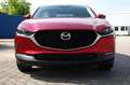 Mazda CX-30 e-Skyactive G140 Exclusive-Line Rot - thumbnail 2