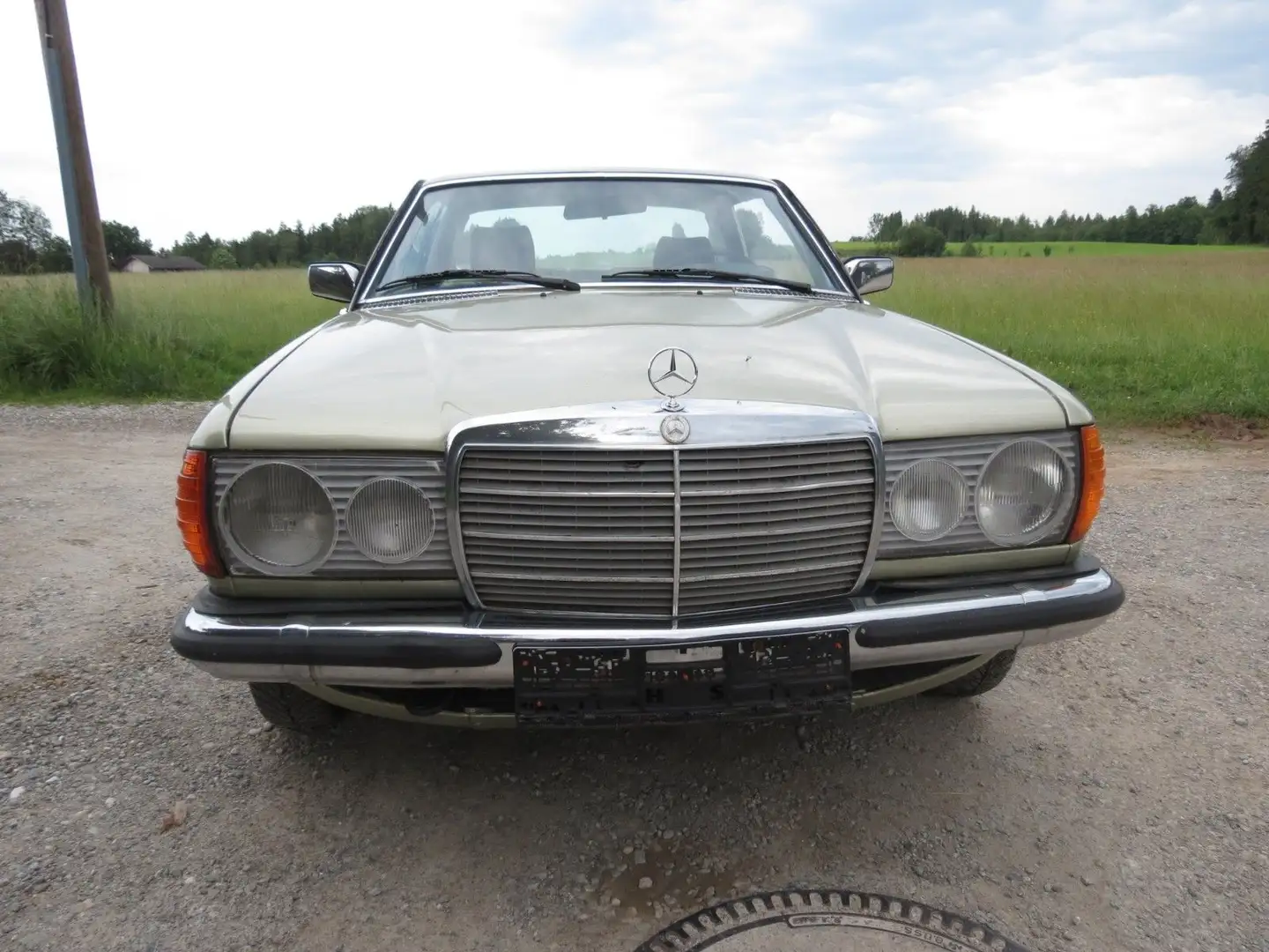 Mercedes-Benz 230 C230 Coupe Automatik *H-Kennzeichen, TOP* Grün - 2