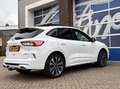Ford Kuga 2.5 PHEV ST-Line X 225PK Elek. Trekhaak Panodak Ad Wit - thumbnail 2