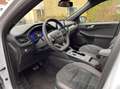 Ford Kuga 2.5 PHEV ST-Line X 225PK Elek. Trekhaak Panodak Ad Wit - thumbnail 16
