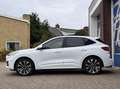 Ford Kuga 2.5 PHEV ST-Line X 225PK Elek. Trekhaak Panodak Ad Wit - thumbnail 9