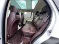 Land Rover Range Rover 3,0 SDV6 Hybrid SVAutobiography Weiß - thumbnail 14