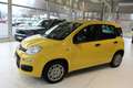 Fiat Panda 4x2 FireFly Hybrid 70 Gelb - thumbnail 1