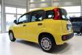 Fiat Panda 4x2 FireFly Hybrid 70 Gelb - thumbnail 5