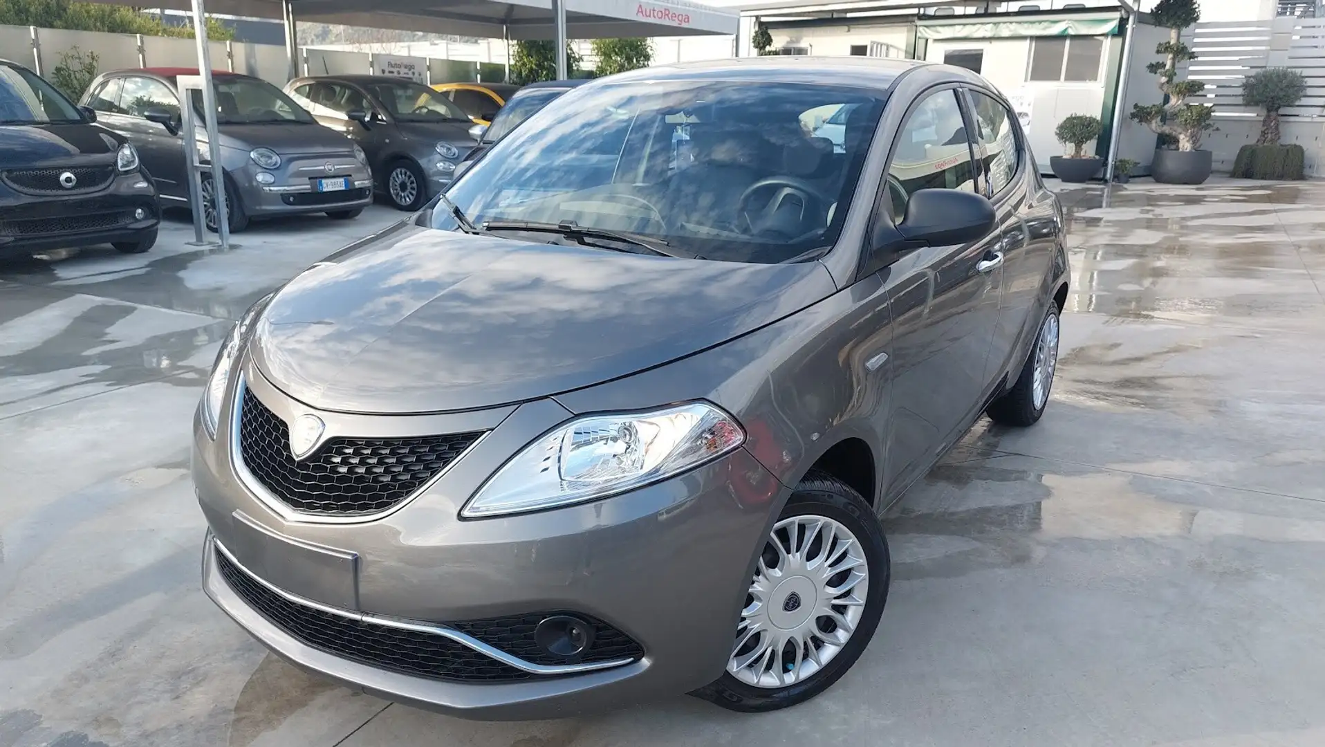 Lancia Ypsilon 1.2 69 CV 5 porte Silver Gris - 2