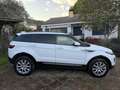 Land Rover Range Rover Evoque Range Rover Evoque 2.0TD4 SE 4WD Aut. 150 SE Blanco - thumbnail 3