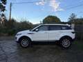 Land Rover Range Rover Evoque Range Rover Evoque 2.0TD4 SE 4WD Aut. 150 SE Blanco - thumbnail 7