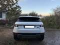 Land Rover Range Rover Evoque Range Rover Evoque 2.0TD4 SE 4WD Aut. 150 SE Blanco - thumbnail 5