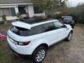 Land Rover Range Rover Evoque Range Rover Evoque 2.0TD4 SE 4WD Aut. 150 SE Blanco - thumbnail 8