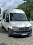 Fiat Ducato - thumbnail 1