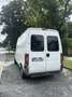 Fiat Ducato - thumbnail 2