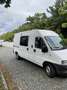 Fiat Ducato - thumbnail 4