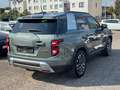 SsangYong Torres 1.5 T-GDI Forest Edition Automatik Grün - thumbnail 10