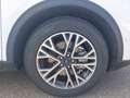 Ford Kuga 2.5 Plug In Hybrid 225 CV CVT 2WD Titanium Bianco - thumbnail 15