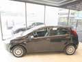 Fiat Punto 1.3 MJT II 75 CV 5 porte Lounge Nero - thumbnail 8