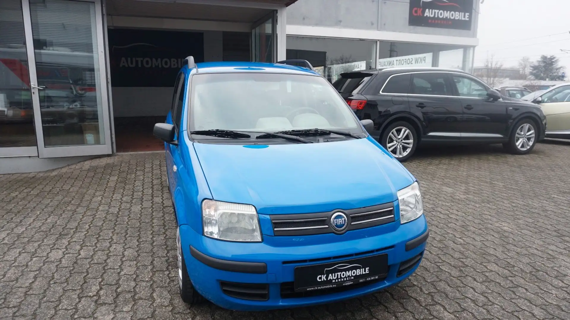 Fiat Panda 1.2 8V Dynamic KLIMA TÜV NEU Bleu - 2