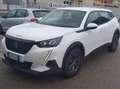 Peugeot 2008 2008 1.2 puretech Active Pack s Bianco - thumbnail 4