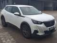 Peugeot 2008 2008 1.2 puretech Active Pack s Bianco - thumbnail 2