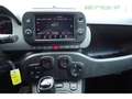Fiat Panda Cross 4x4 Klima Rot - thumbnail 7