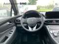 Hyundai SANTA FE Hybrid Prime Assistenz-Paket 2 360°Pano Gris - thumbnail 20