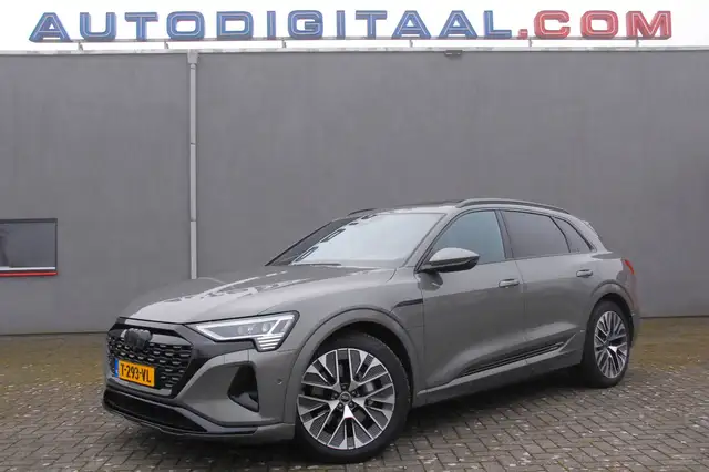 Audi Q8 e-tron 55 quattro E-tron 115 kWh/Panodak/B&O/Trekhaak