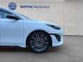 Kia ProCeed / pro_cee'd ProCeed 1.6 T-GDI DCT7 OPF GT Weiß - thumbnail 21