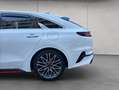 Kia ProCeed / pro_cee'd ProCeed 1.6 T-GDI DCT7 OPF GT Weiß - thumbnail 22