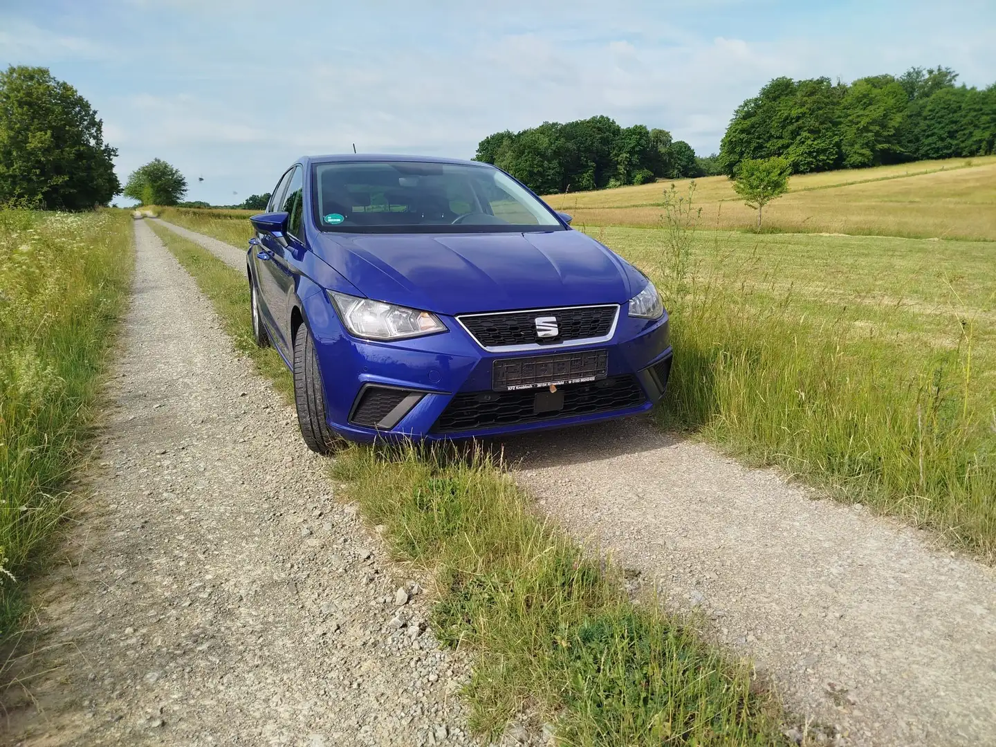 SEAT Ibiza Ibiza 1.0 EcoTSI S Blau - 2