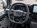 Ford Tourneo Custom 320 2.0 EcoBlue 170CV aut. PL Titanium Argento - thumbnail 12