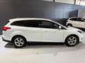 Ford Focus 1.0 Turnier Titanium Weiß - thumbnail 4