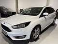 Ford Focus 1.0 Turnier Titanium Weiß - thumbnail 1