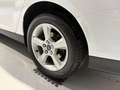 Ford Focus 1.0 Turnier Titanium Weiß - thumbnail 21