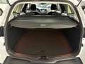 Ford Focus 1.0 Turnier Titanium Weiß - thumbnail 20