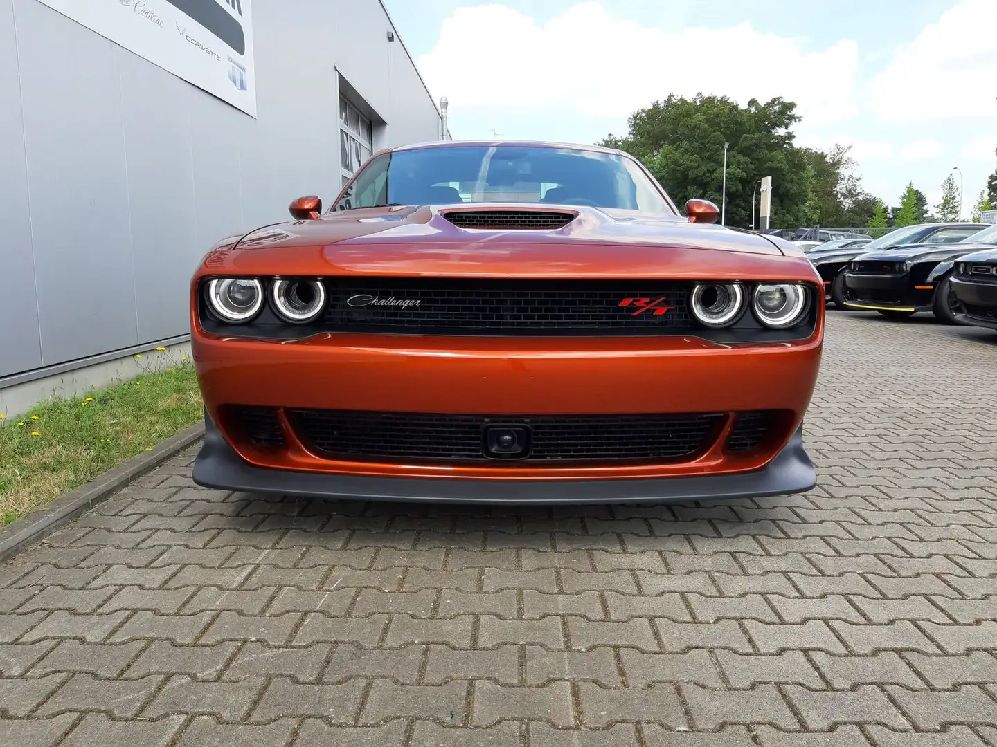 Dodge Challenger R/T Scat Pack 6.4 V8 Widebody Orange - 2