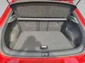 Volkswagen T-Roc 1.5 TSI R-Line Business Pano IQ.Light Rot - thumbnail 15
