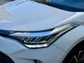Toyota C-HR 125H Advance Blanco - thumbnail 11