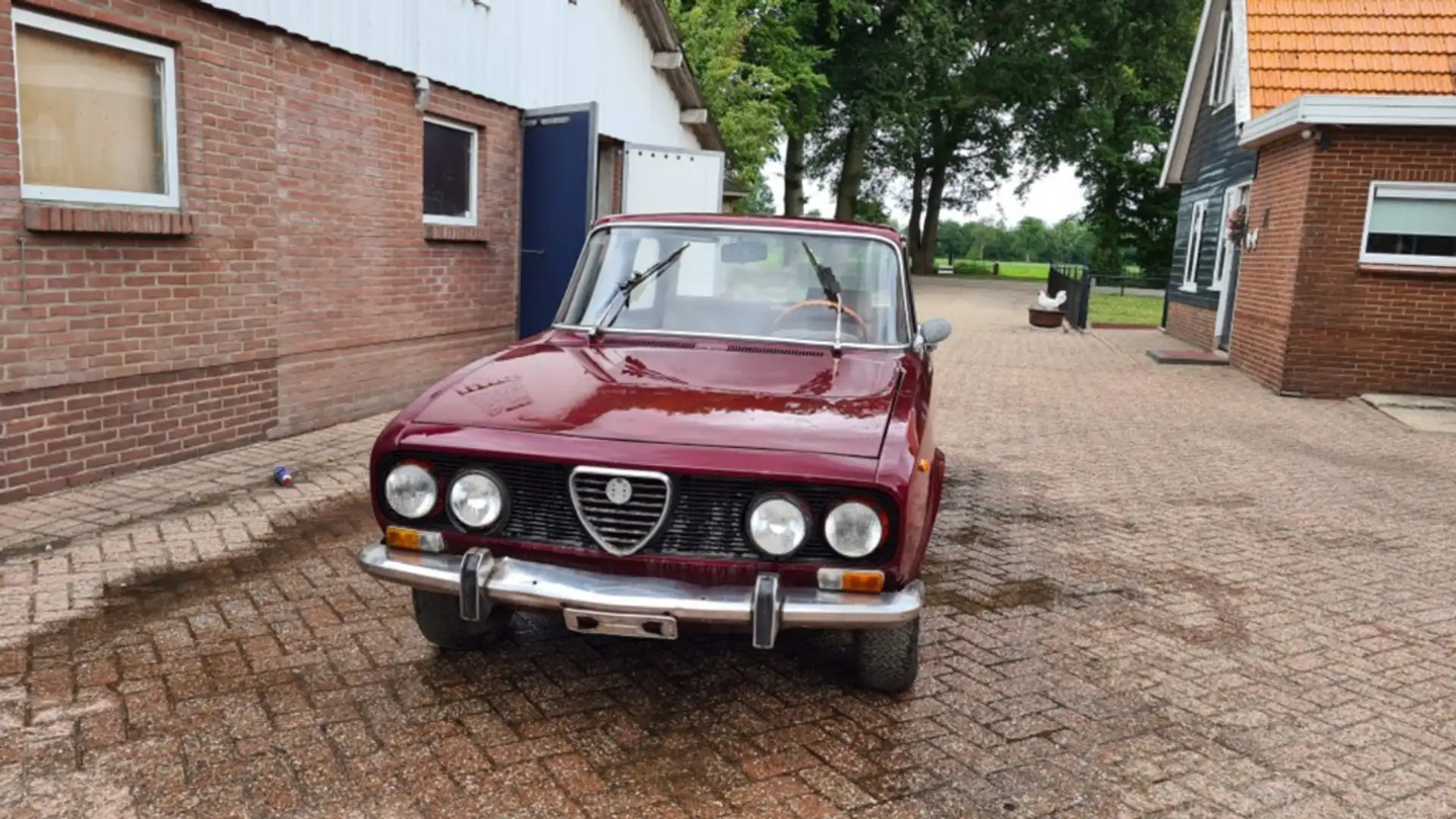 Alfa Romeo 2000 2.0 Berlina - 2