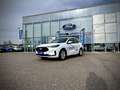 Ford Kuga ST-Line 1,5 Ecob. 150PS WOW AKTION Weiß - thumbnail 3