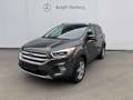 Ford Kuga Titanium 1.5 Ecoboost AWD Grau - thumbnail 2