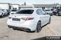 Alfa Romeo Giulia Competizione 2.0 Turbo 16V 206kW (280 Blauw - thumbnail 5