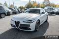 Alfa Romeo Giulia Competizione 2.0 Turbo 16V 206kW (280 Bleu - thumbnail 1