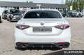 Alfa Romeo Giulia Competizione 2.0 Turbo 16V 206kW (280 Blauw - thumbnail 6