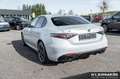 Alfa Romeo Giulia Competizione 2.0 Turbo 16V 206kW (280 Blauw - thumbnail 7