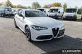 Alfa Romeo Giulia Competizione 2.0 Turbo 16V 206kW (280 Blauw - thumbnail 3